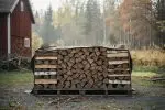Bois de chauffage pas cher dans le 77 : trouver le meilleur prix
